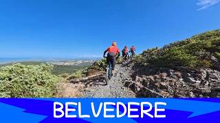 Belvedere 22/8/26