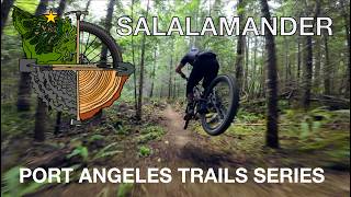 Port Angeles Trails Series: Salalamander