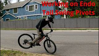 Working on Endo Tail Swing Pivots