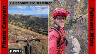 Plunging into Fall in Pharo Canyon! | Mountain...