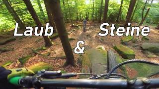 Laub und Steine // Heidelberg - Königstuhl //...