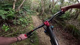 Nga Tuna @ Wainuiomata Trail Park