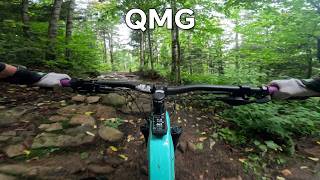 MTB SDM - QMG