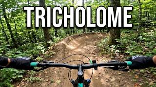 MTB Parc du Mont Loup-Garou - La Tricholome ⬛️