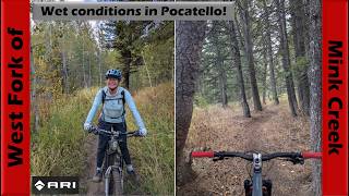 Wet Fall Condition in the West Fork of Mink...