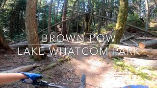 Brown Pow - Lake Whatcom Park - Bellingham,...