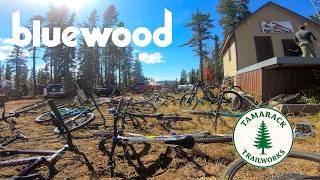 The Birth of SE Washington's First Bike Park