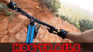 GIRTHIEST HOG THIS SIDE OF THE MISSISSIPPI |...