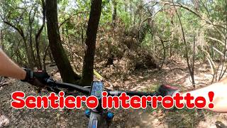 sentiero interrotto, albero caduto! Buca del...