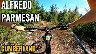 Alfredo Parmesan - Cumberland 2026