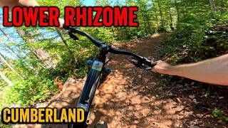 Lower Rhizome - Cumberland 2026