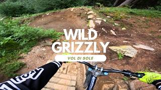 Wild Grizzly  Bikepark Val di Sole Italy ...