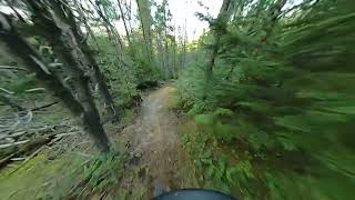 SPLEEN TOLL POV CRASH