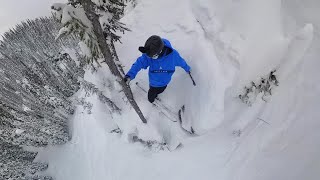Tried Skiing, Got Stuck on a Cliff