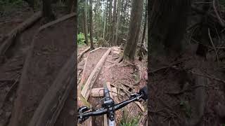 Cabin Part 2 - Mt Seymour