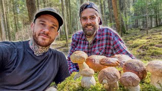 PILZ-EXPERTE zeigt mir, was ich im Wald essen...