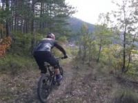 Molista MTB IV - The Trailmasters Haven