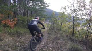 Molista MTB IV - The Trailmasters Haven