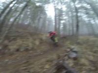 Fall Fun With The Boys