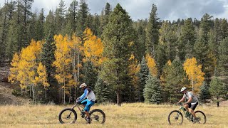 Finding Peak Gold in New Mexico's Mountains