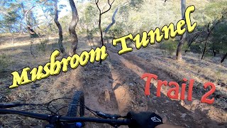 Mushroom Tunnel line 2- Watiparinga Reserve -...