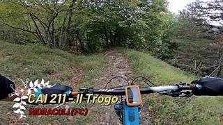 CAI 211 - Il Trogo, Ridracoli (FC) 10-10-2026