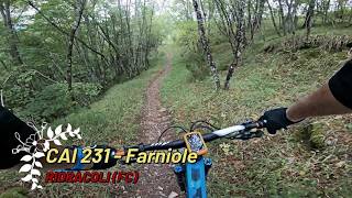 CAI 231 - Farniole, Ridracoli (FC) 10-10-2026