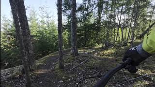 Wonderwall Ridge - Ridge Runner, Nanaimo -...