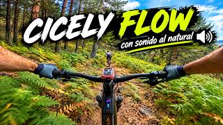 Sin música, solo MTB  ¡CICELY FLOW en estado...