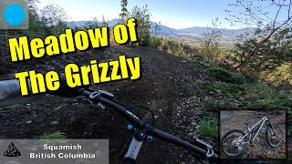 Is Meadow of the Grizzly the longest flow...