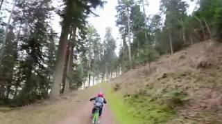 Bikepark Bad Wildbad: Kärcher Freeride 360°...