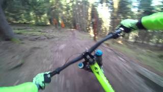 Rough DH Track (RAW) Bad Wildbad