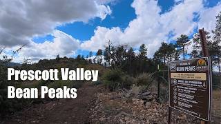 Giving it the full beans - Mountain Bike -...