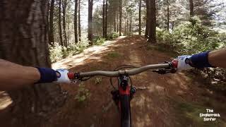 Gumdigger-Low Fat-High Carb @ 440 MTB Park