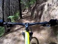 Cougar MTB Park Tokoroa | Mountain Lion
