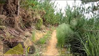 MTB Over Fifty - OnTheUp Trail - Waitangi MTB Park