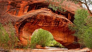 Coyote Gulch Day Hike via Crack In the Wall