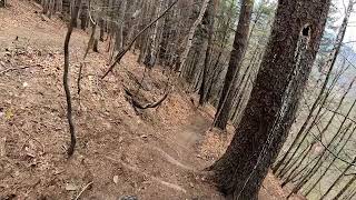 Szybkavica -Straconka EL duro Trails