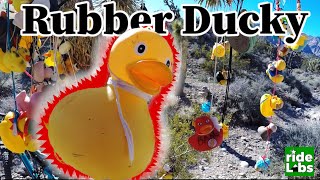 Here's All You Need To Know About The Rubber Ducky Trail - Secret Las Vegas