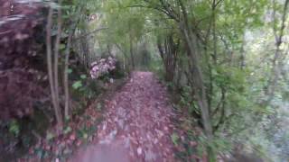 Tessere - Alano di Piave