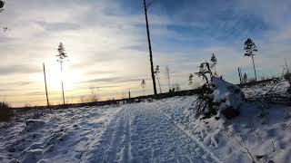 Kalnesskogen