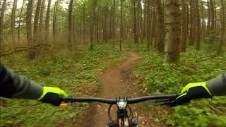 Transition Scout 650b - Running Feedback at...