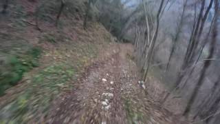Sentiero in zona Marche - Alano di Piave