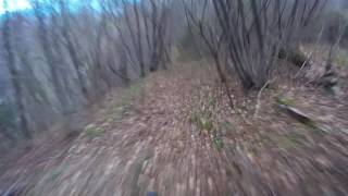 Sentiero Pecolét - Alano di Piave