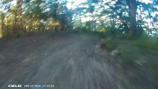 Durras downhill 01
