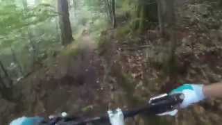 VTT à la Bresse - Sentier Maurice