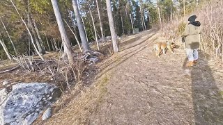 25 March 2019 riding a lit path / lysløype at...