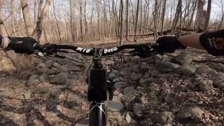 Trail Check of Whitecloud at Stewart State Forest