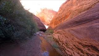 Broken Bow Arch 2017