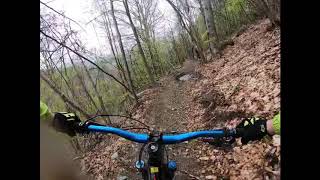 Viola St gree bike park by Santa trail dog